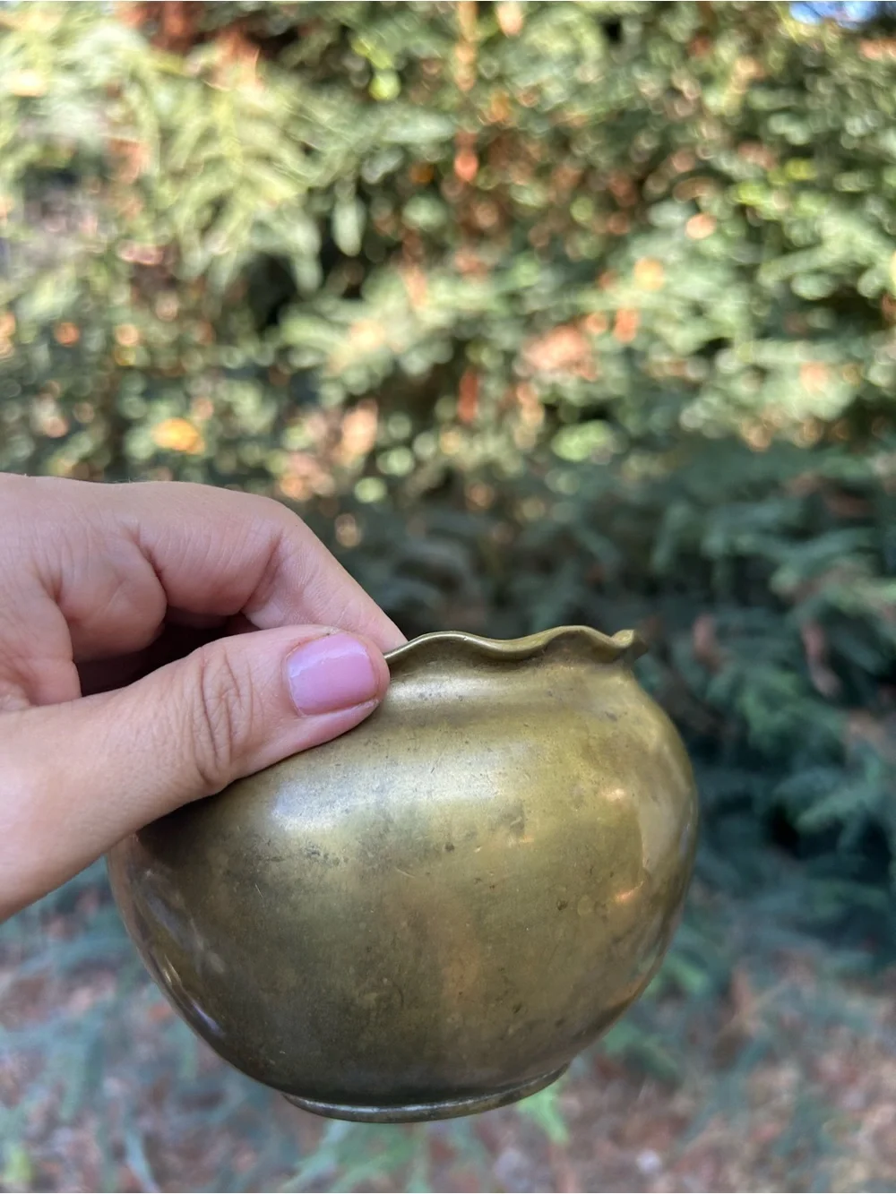 vintage antique bronze jardinière or planter features a charming scalloped rim